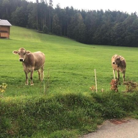 Nirkwerk - Die Wohnung - Wohnen Und Werken Schonengrund Bagian luar foto